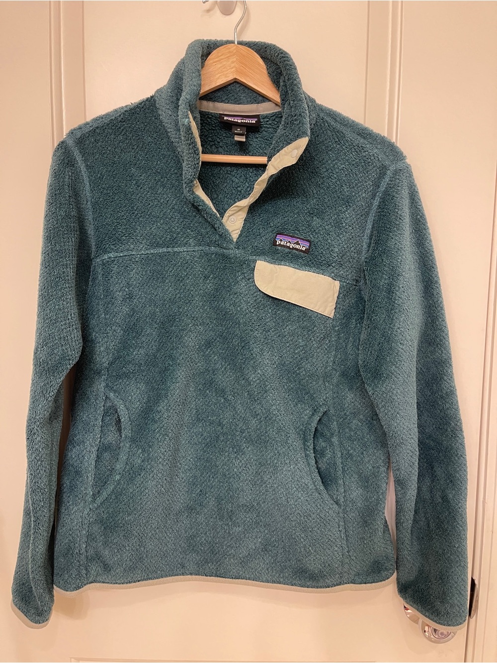 Patagonia Teal Fleece Pullover with Sage Green Accent
